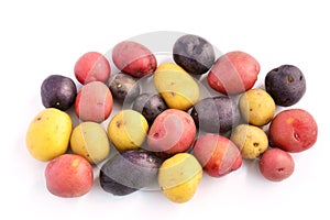 Tricolor mini potatoes photo