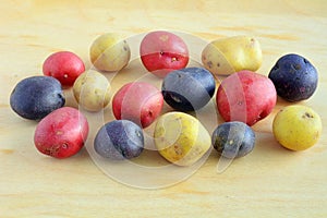 Tricolor mini potatoes on wood background photo
