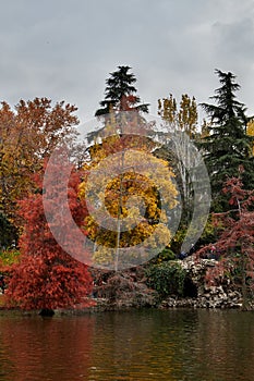 Tricolor set of trees with autumnal hues