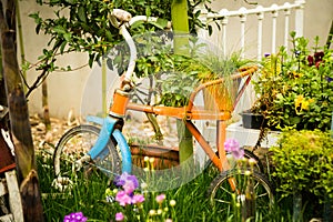 Tricycle in Flowering Backyard Garden