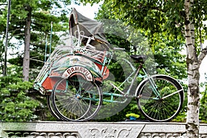 Tricycle rickshaw with sidecar front