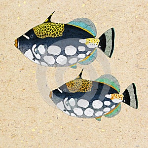 Triggerfish