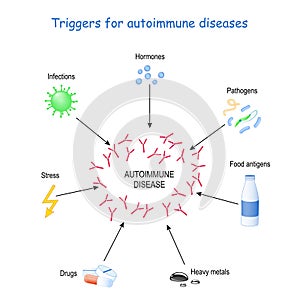 Triggers for autoimmune diseases photo