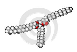 Triglyceride molecular structure