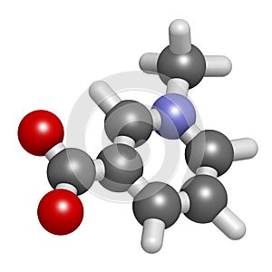 Trigonelline molecule. Metabolite of niacin (vitamin B3) but also found in a number of plants, including fenugreek. 3D rendering.