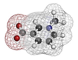 Trigonelline molecule. Metabolite of niacin (vitamin B3) but also found in a number of plants, including fenugreek. 3D rendering.