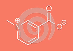 Trigonelline molecule. Metabolite of niacin vitamin B3 but also found in a number of plants, including fenugreek. Skeletal.