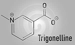 Trigonelline molecule skeletal formula. Metabolite of niacin, vitamin B3