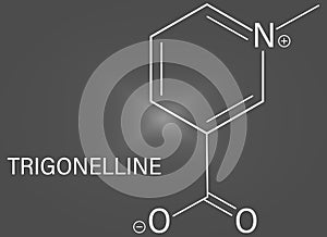 Trigonelline molecule skeletal formula. Metabolite of niacin, vitamin B3