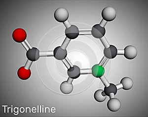 Trigonelline plant alkaloid molecule. It is methylation product of niacin vitamin B3, methylated niacin. Molecular model. 3D