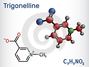 Trigonelline plant alkaloid molecule. It is methylation product of niacin vitamin B3, methylated niacin. Structural chemical