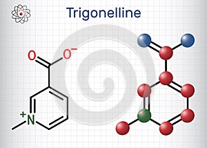Trigonelline plant alkaloid molecule. It is methylation product of niacin vitamin B3, methylated niacin. Structural chemical