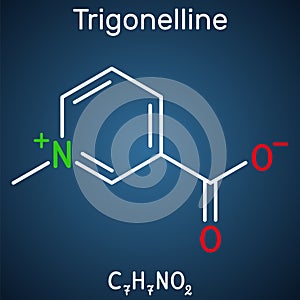 Trigonelline plant alkaloid molecule. It is methylation product of niacin vitamin B3, methylated niacin. Structural chemical