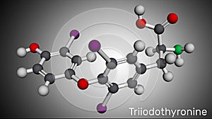 Triiodothyronine, T3, liothyronine molecule. It is thyroid hormone, pituitary gland hormone,. Molecular model. 3D rendering photo