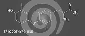 Triiodothyronine or T3, liothyronine, thyroid hormone molecule. Pituitary gland hormone. Skeletal formula. photo