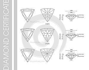 Trillion diamond shape