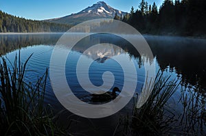 Trillium Lake early morning with Mount Hood, Oregon, USA