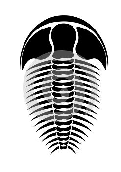 Trilobite silhouette