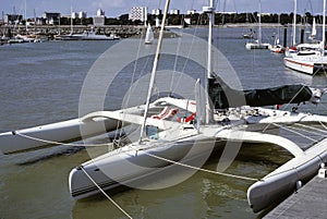 Trimaran