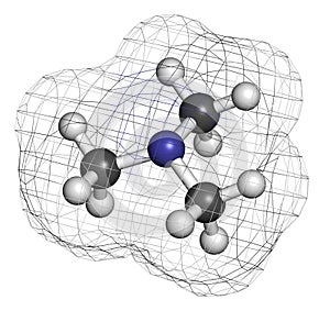 Trimethylamine volatile tertiary amine molecule. Important component of the smell of rotting fish.