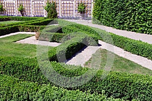 Trimmed bushes  and paths in park. Garden design.