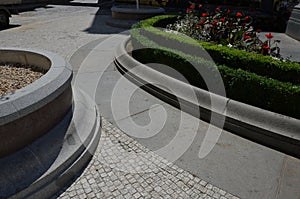 trimmed hedges, bushes in geometric round shapes of fantastic