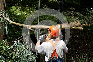 Trimming branches with chainsaw