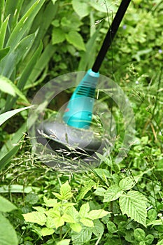 Trimming grass with an electric lawn trimmer