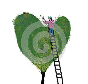 Trimming a heart  bush