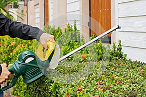 Trimming,  Home and garden concept.