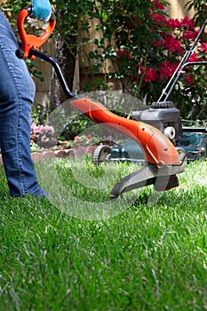 Trimming Lawn photo