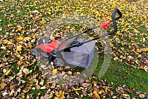 Trimming the lawn and mulching the leaves in autumn