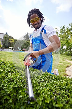 Trimming the Path: A Man's Effortless Mastery of Shaping a Living Hedge