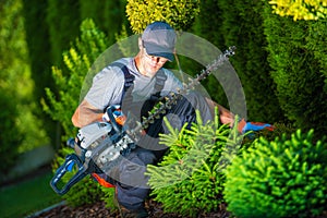 Trimming Work in a Garden