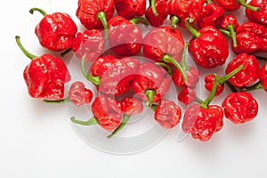 Trinidad moruga scorpion peppers