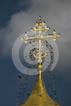 Trinity Sergius Lavra in Russia. Dormition cathedral cross covered by birds