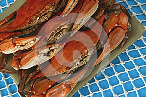 Trio of Boiled Crabs