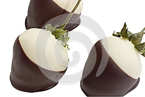 A trio of chocolate covered strawberries photo