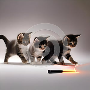 A trio of kittens with unique markings, chasing a laser pointer dot with synchronized movements4