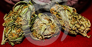 Trio of Medical Cannabis Buds