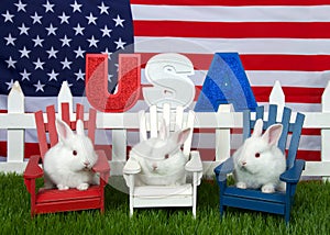 Trio of patriotic backyard bunnies