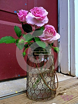 Trio of Pink `Lavender Simplicity` Roses in a Chicken-Wire Covered Jar