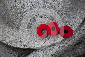 Trio of Poppies at War Memorial