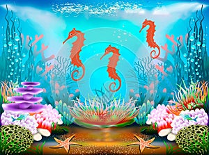 trio of seahorses