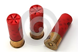 Trio of Shotgun Shells