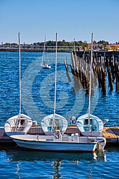 Trio of small white boats on dock with old pilings in background