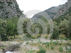 Trip by the Lycian Way