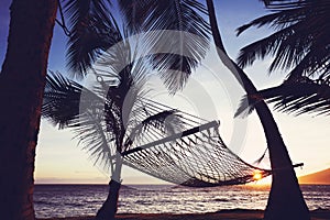 Tripical hammock at sunset