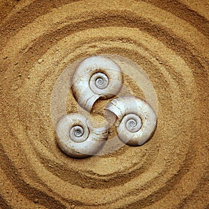 Triple spiral on sand. Concept with dry snail shells.