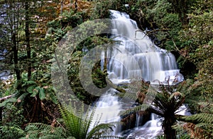 Triplet falls, Otway State Park, Australia
